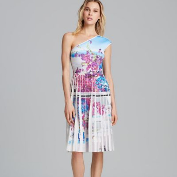 Clover Canyon Dresses & Skirts - Clover Canyon Santorini One Shoulder Pleated Dress